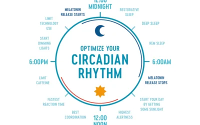 What Are Circadian Rhythms?