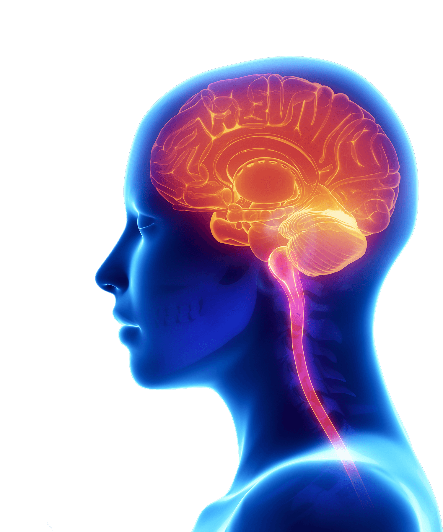 What is Neuroplasticity? Satori Integrative Medicine Clinic